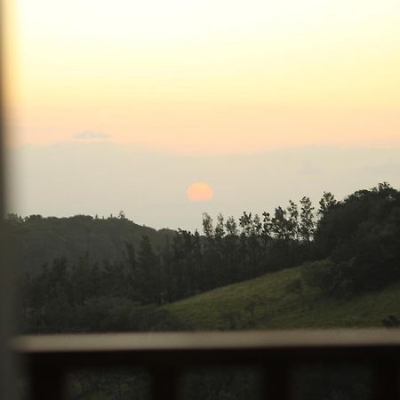 Hotel Bosque Verde Lodge Monteverde Szoba fotó
