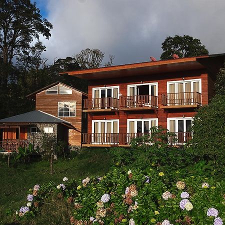 Hotel Bosque Verde Lodge Monteverde Kültér fotó