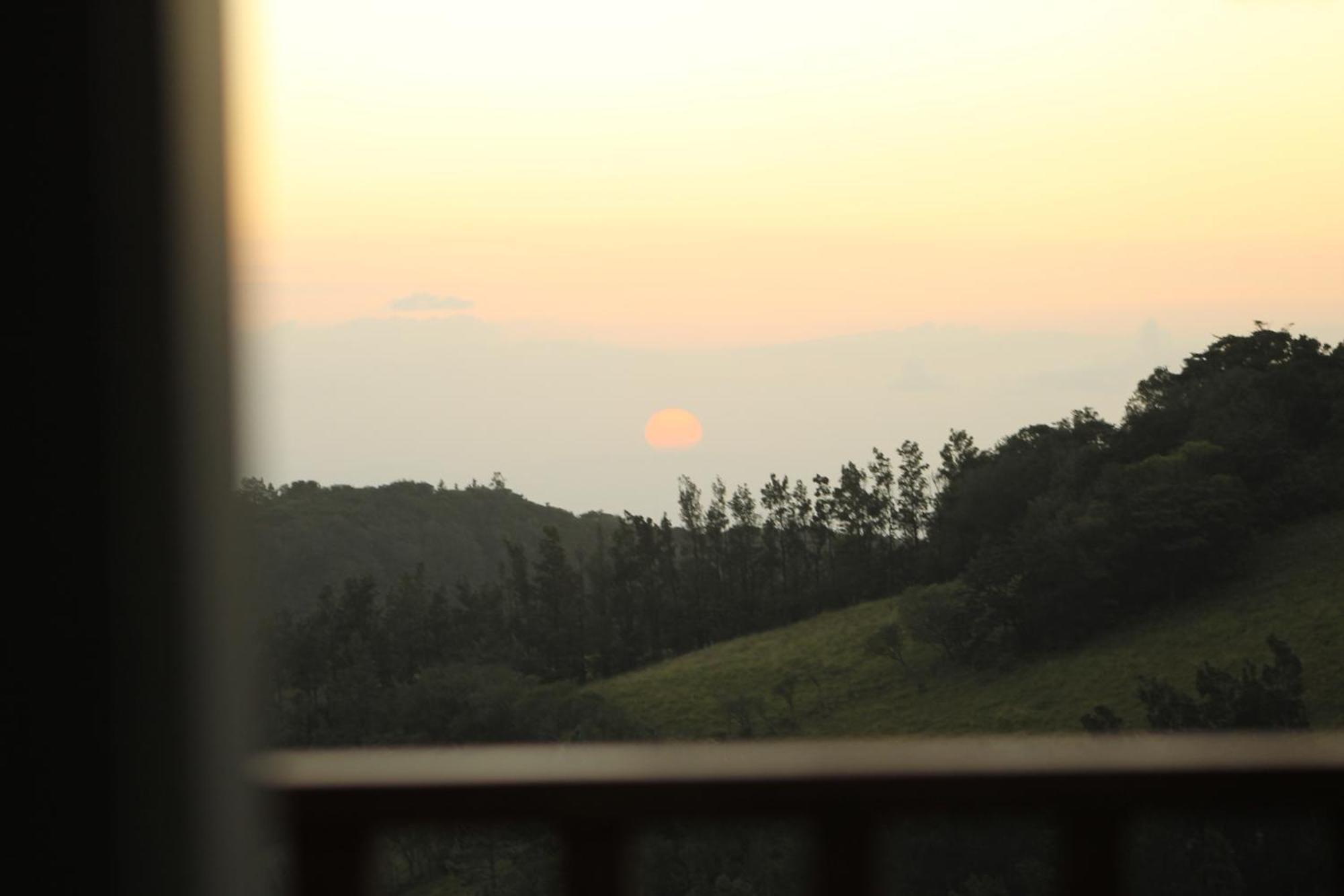 Hotel Bosque Verde Lodge Monteverde Szoba fotó