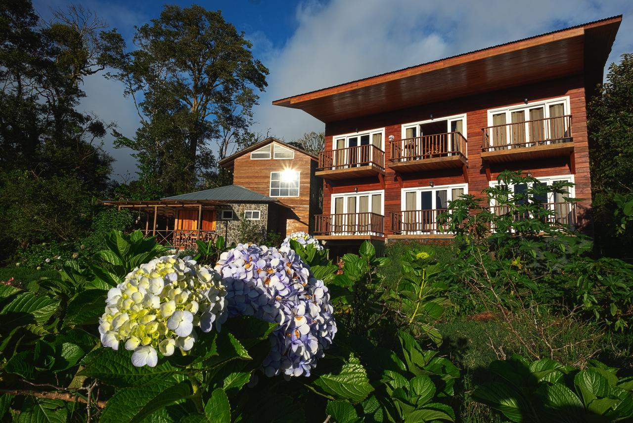 Hotel Bosque Verde Lodge Monteverde Szoba fotó
