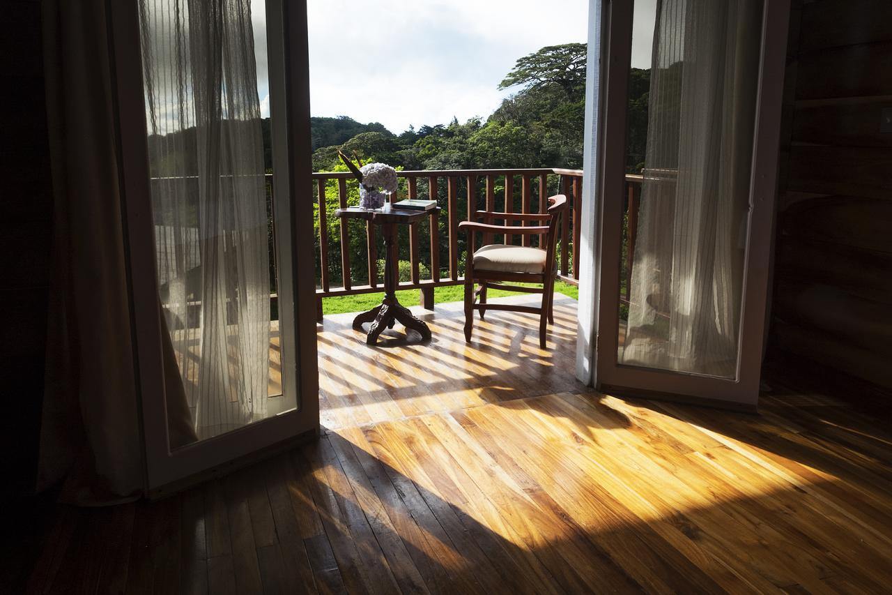 Hotel Bosque Verde Lodge Monteverde Kültér fotó