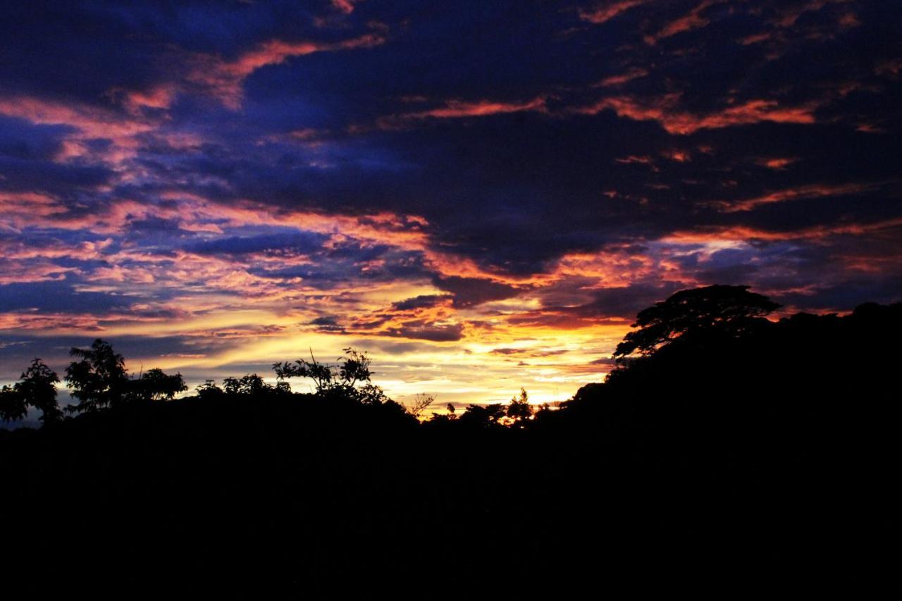 Hotel Bosque Verde Lodge Monteverde Kültér fotó