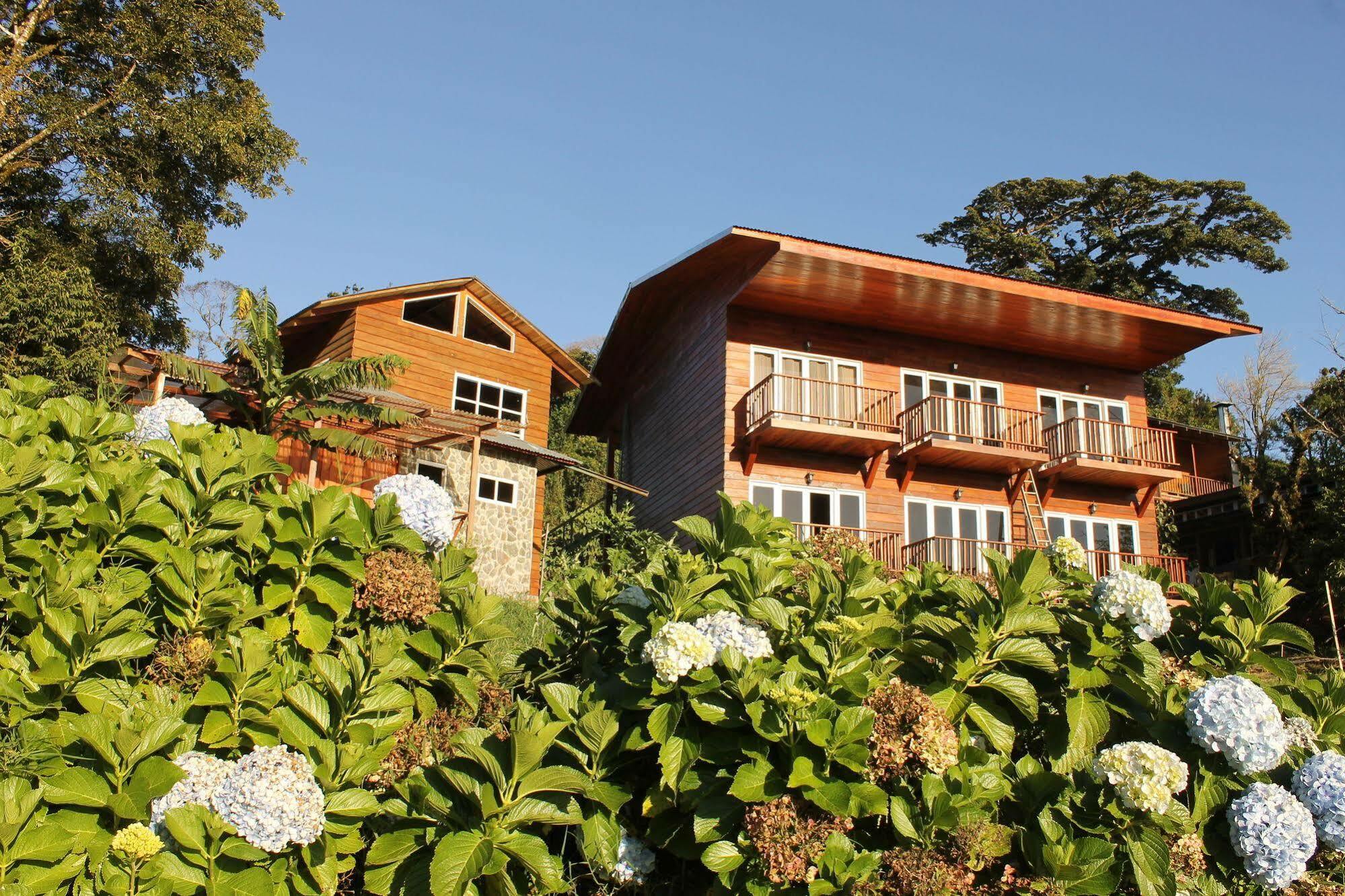 Hotel Bosque Verde Lodge Monteverde Kültér fotó