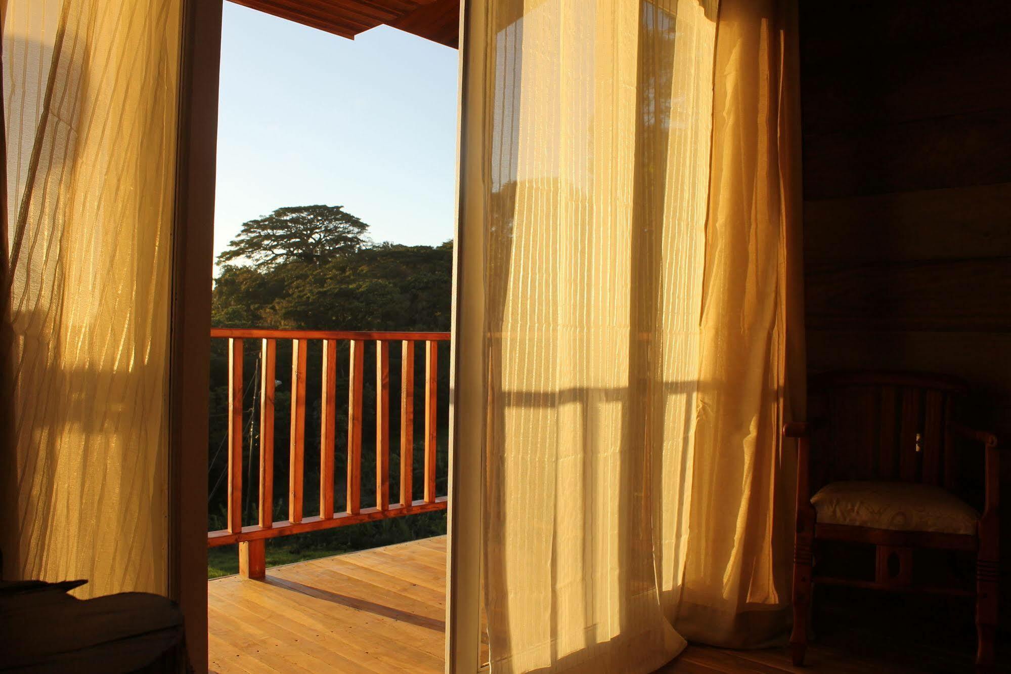 Hotel Bosque Verde Lodge Monteverde Kültér fotó