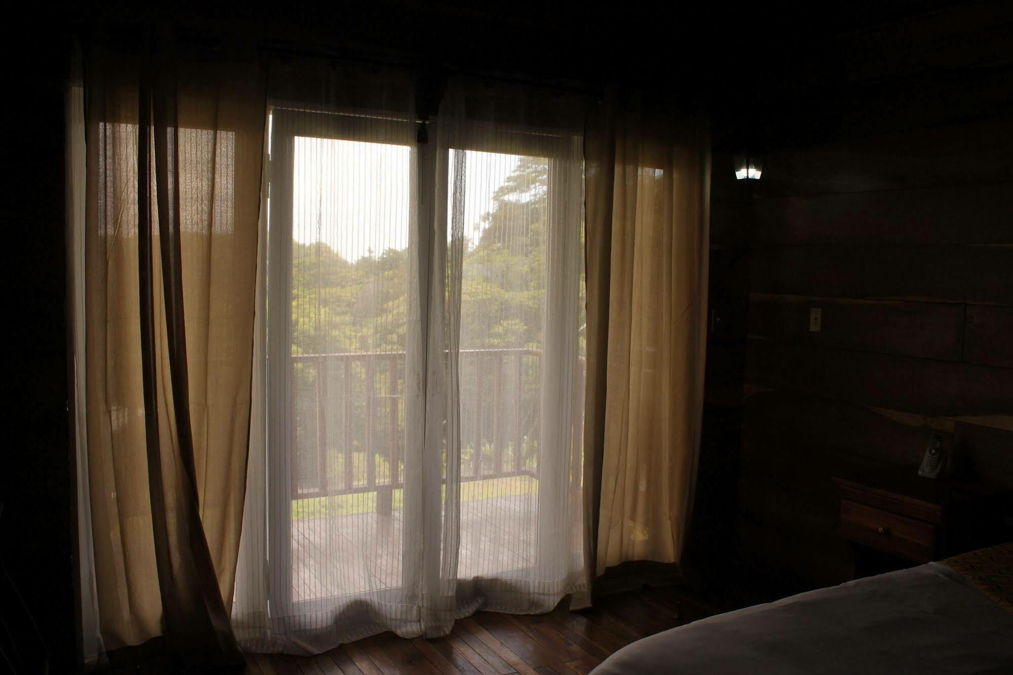 Hotel Bosque Verde Lodge Monteverde Kültér fotó